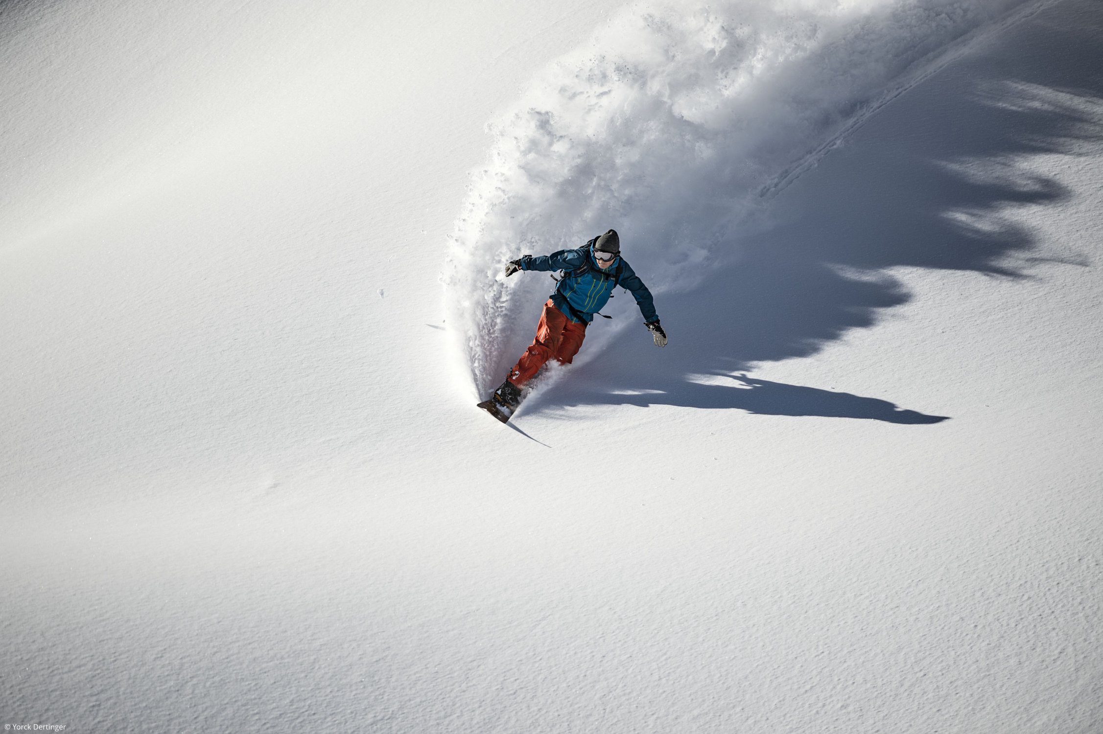 Pogo