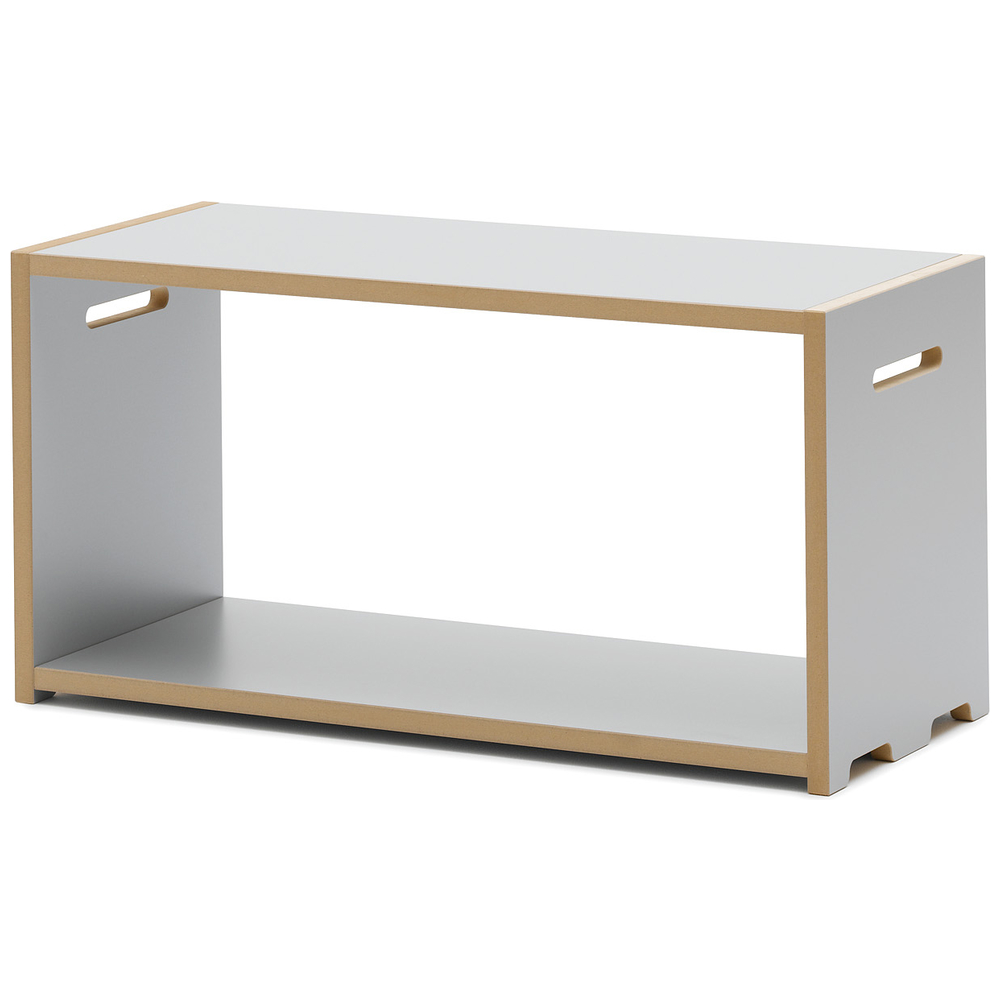 base module silver